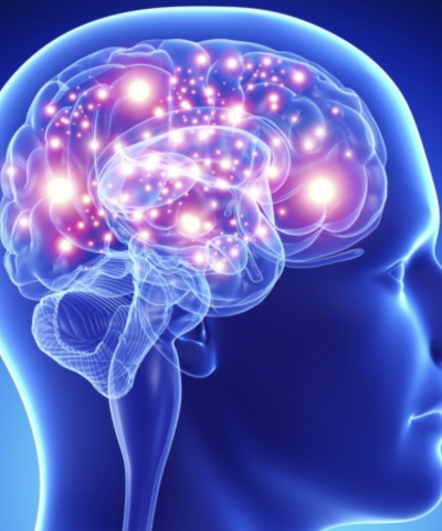 untitled design (17)